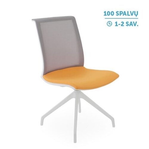 Lankytojų ir posėdžių kėdė LEVEL Cross WS