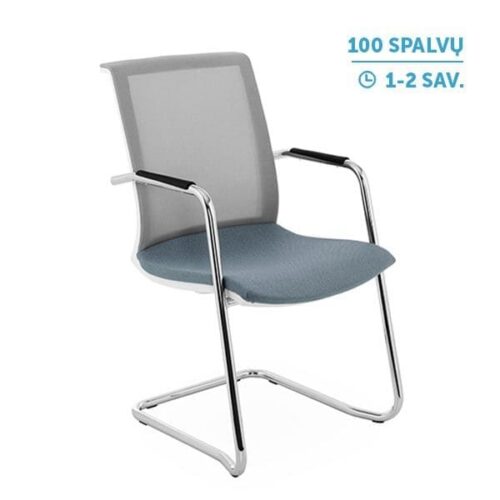 Lankytojų ir posėdžių kėdė LEVEL V WS ARM