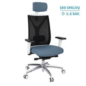 Ergonominė darbuotojo kėdė VALIO WS HD chrome