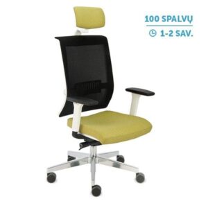 Ergonominė darbuotojo kėdė LEVEL WS HD chrome