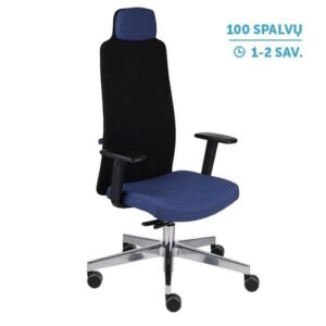 Ergonominė darbuotojo kėdė MIKE 2 B chrome