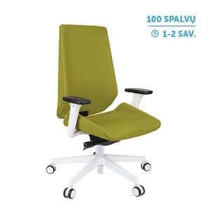 Ergonominė darbuotojo kėdė MOON W white