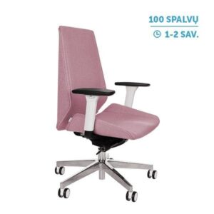 Ergonominė darbuotojo kėdė MOON W chrome