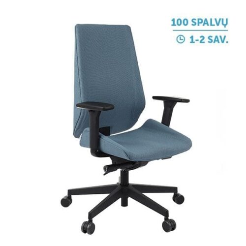 Ergonominė darbuotojo kėdė MOON black