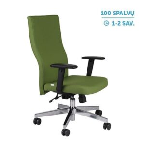 Ergonominė darbuotojo kėdė TEAM PLUS chrome