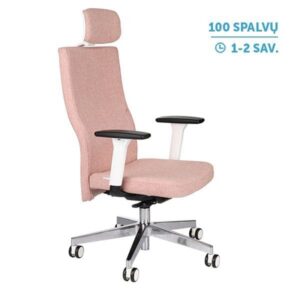 Ergonominė darbuotojo kėdė TEAM W PLUS HD chrome