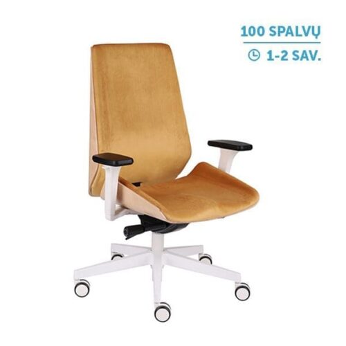 Ergonominė vadovo kėdė MOON WOOD W white
