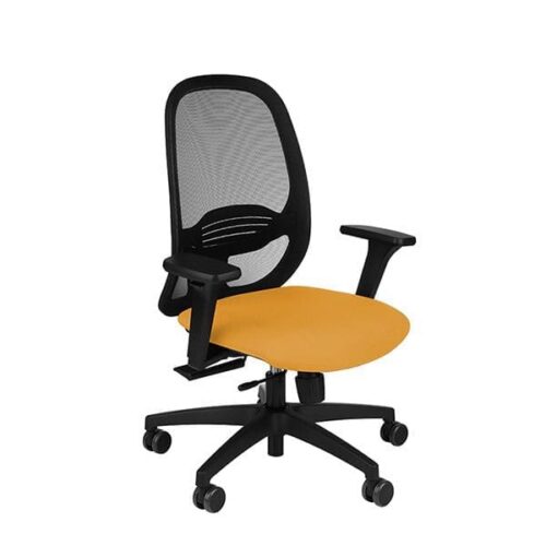 Ergonominė darbuotojo kėdė NODI BS