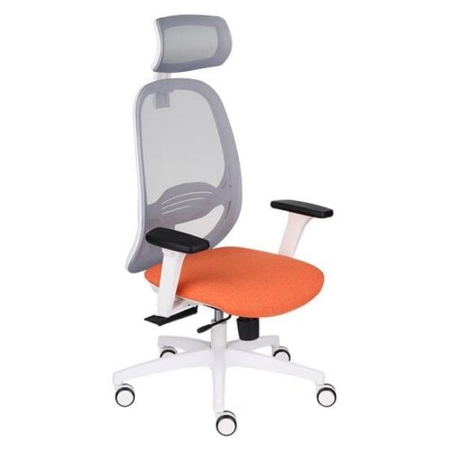 Ergonominė darbuotojo kėdė NODI WS HD