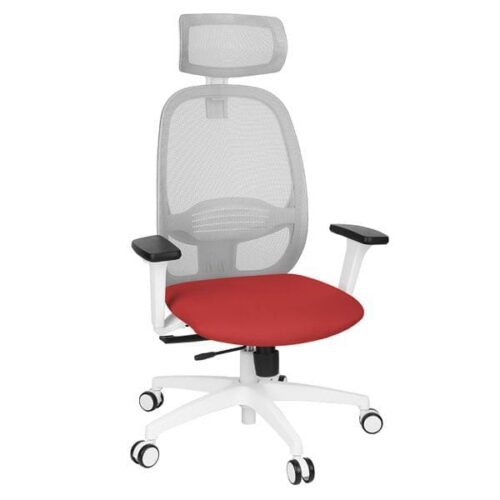 Ergonominė darbuotojo kėdė NODI WS HD