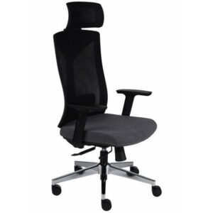 Ergonominė darbuotojo kėdė PLAY