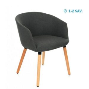 Lankytojų ir posėdžių krėslai MOZI