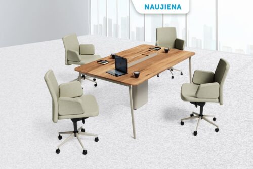 Posėdžių baldai CLEO