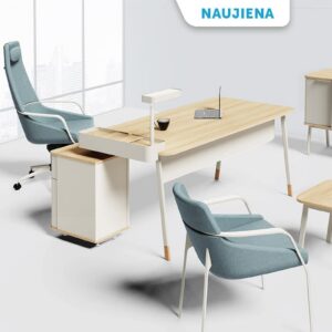 Vadovo ir darbuotojų baldų serija CLEO