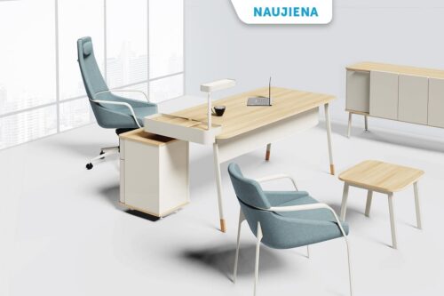 Vadovo ir darbuotojų baldų serija CLEO