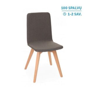 Lankytojų ir posėdžių kėdė Skin Square